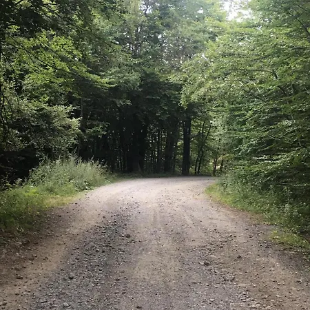 Vandelli - Semplice Ospitalita Per I Viandanti A Mocogno 게스트하우스