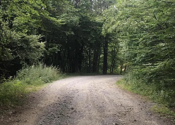 Vandelli - Semplice Ospitalita Per I Viandanti A Mocogno Pensión